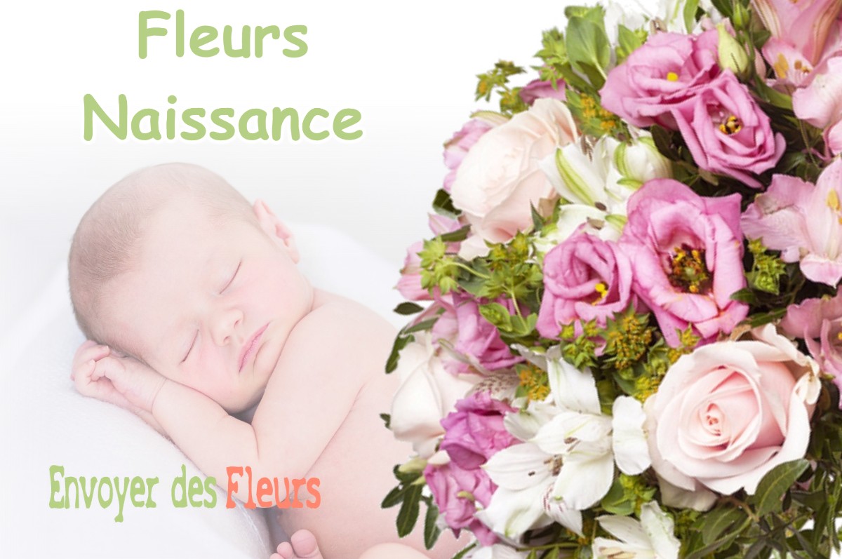 lIVRAISON FLEURS NAISSANCE à HUOS